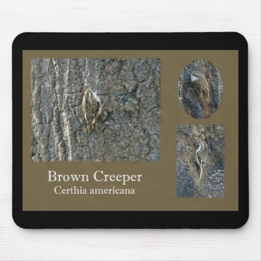 Tapis De Souris Éléments de coordination des oiseaux chanteurs Bro (Devant)