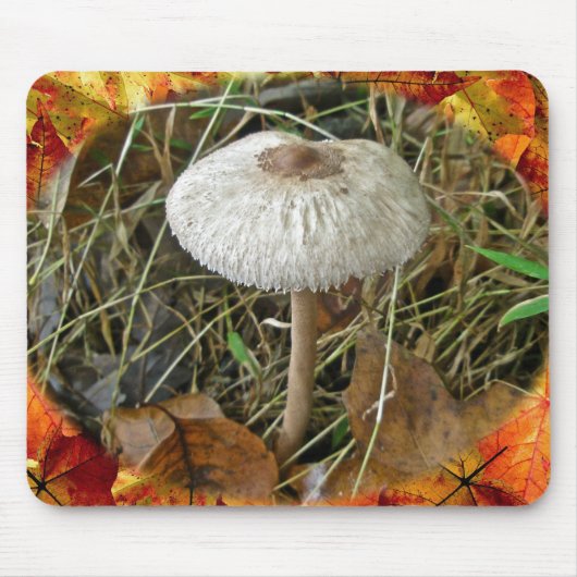 Tapis De Souris Éléments de coordination du champignon de parasol (Devant)