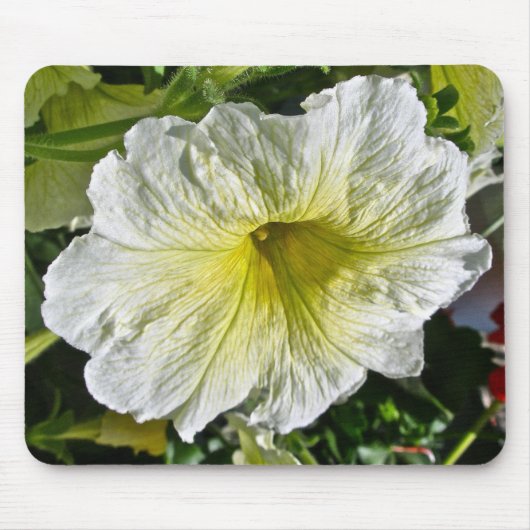 Tapis De Souris Éléments de coordination White Petunia Series (Devant)