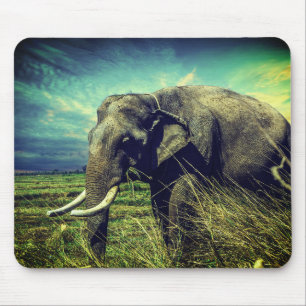 Tapis De Souris Eléphant