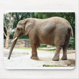 Tapis De Souris éléphant africain