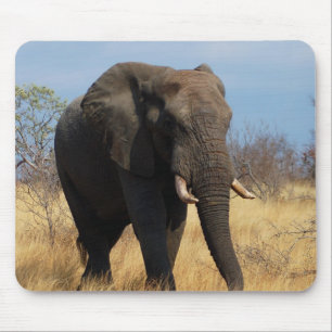 Tapis De Souris Eléphant africain