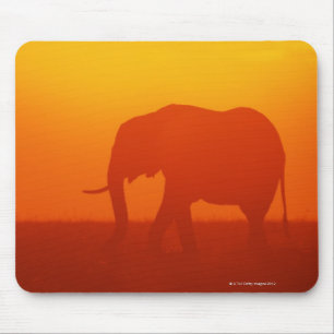Tapis De Souris Éléphant africain marchant au coucher du soleil,