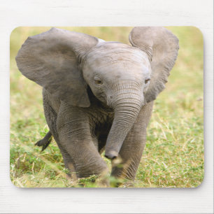 Tapis De Souris Elephant Baby