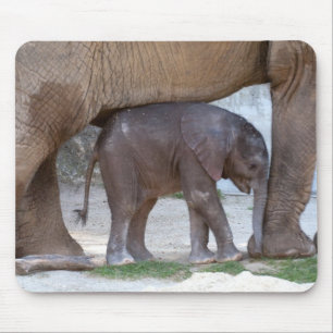 Tapis De Souris Eléphant bébé