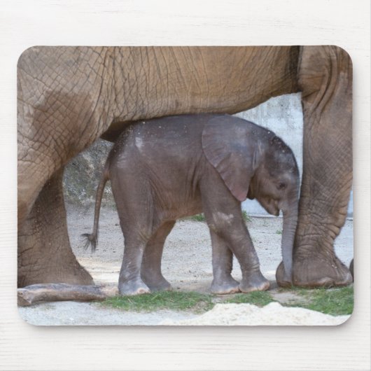 Tapis De Souris Eléphant bébé (Devant)