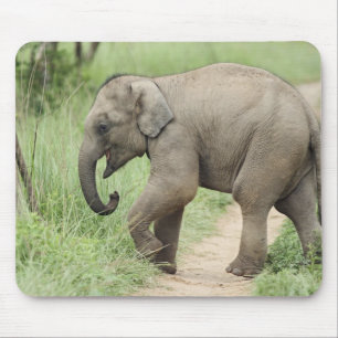 Tapis De Souris Éléphant bébé suivant sa mère, Corbett