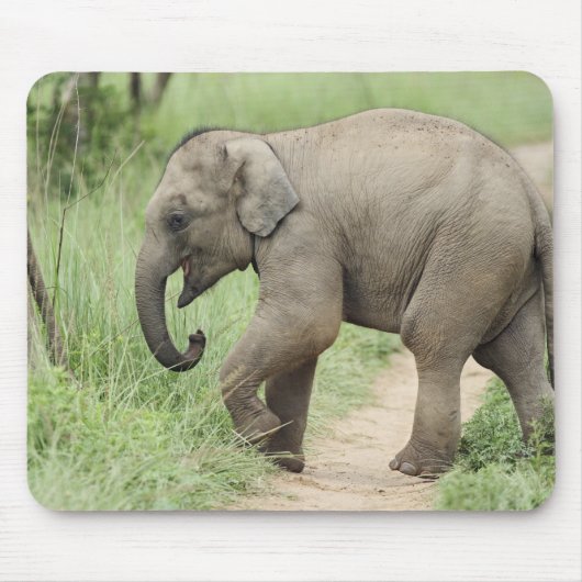 Tapis De Souris Éléphant bébé suivant sa mère, Corbett (Devant)