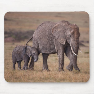 Tapis De Souris Éléphant d'Afrique avec bébé