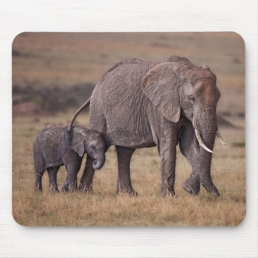 Tapis De Souris Éléphant d'Afrique avec bébé (Devant)