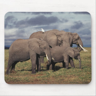 Tapis De Souris Éléphant d'Afrique bébé avec famille