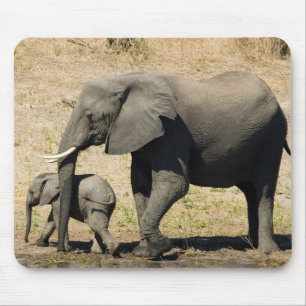 Tapis De Souris Éléphant et mère de bébé