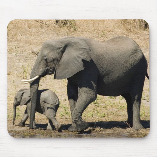 Tapis De Souris Éléphant et mère de bébé (Devant)