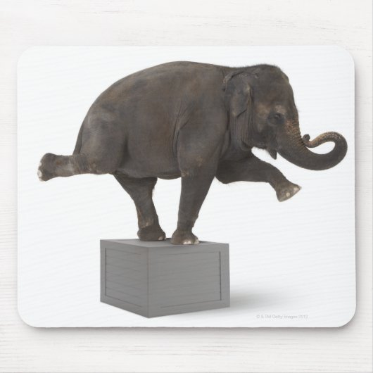 Tapis De Souris Elephant exécution tour sur boîte (Devant)