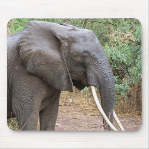 Tapis De Souris Eléphant Mousepad