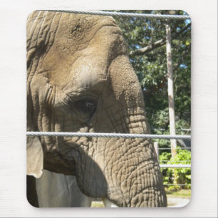 Tapis De Souris Eléphant triste