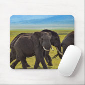 Tapis De Souris Eléphants, Faune, Nature (Avec souris)