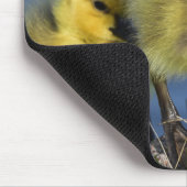 Tapis De Souris Élevage au printemps (Coin)