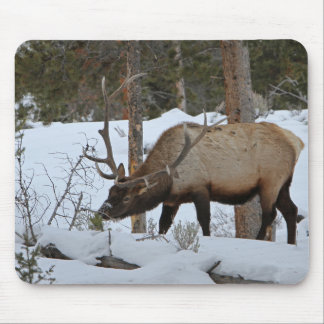 Tapis De Souris Elk
