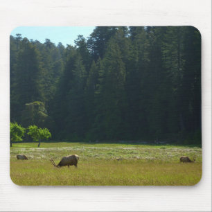 Tapis De Souris Elk Meadow at Redwood National Park