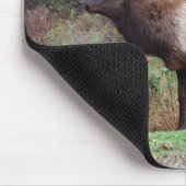 Tapis De Souris Elk Mousepad (Coin)
