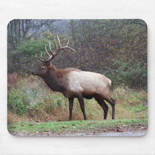 Tapis De Souris Elk Mousepad (Devant)