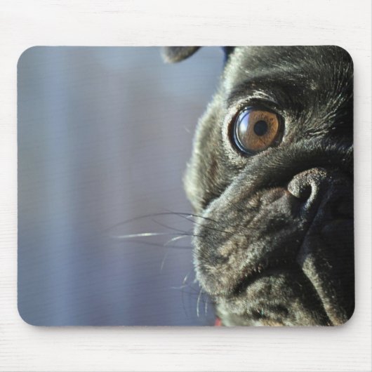 Tapis De Souris Elsa (Devant)