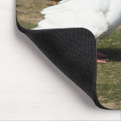 Tapis De Souris Embden Geese (Coin)