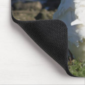 Tapis De Souris Embden Goose (Coin)