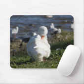 Tapis De Souris Embden Goose (Avec souris)