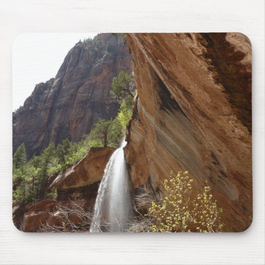 Tapis De Souris Emerald Pool Falls III du parc national Zion (Devant)