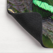 Tapis De Souris Emerald Swallowtail (Coin)