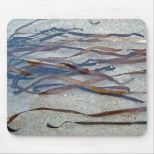 Tapis de souris en algue de Zostère
