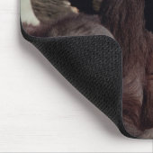 Tapis De Souris Ensemble faunique - Primates 1 (Coin)
