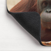 Tapis De Souris Ensemble faunique - Primates 7 (Coin)
