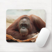 Tapis De Souris Ensemble faunique - Primates 7 (Avec souris)