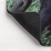 Tapis De Souris Ensemble faunique - Primates 8 (Coin)