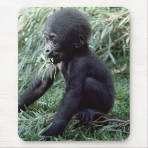 Tapis De Souris Ensemble faunique - Primates 8