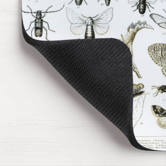 Tapis De Souris Entomologie (Coin)