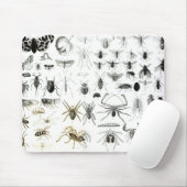 Tapis De Souris Entomologie, myriapodes et arachnides (Avec souris)