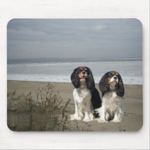 Tapis De Souris Épagneul cavalier Mousepad du Roi Charles