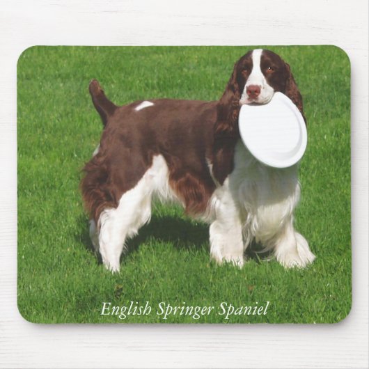 Tapis De Souris Épagneul de springer anglais Mousepad (Devant)