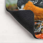 Tapis De Souris Épervier à cou tacheté dans le feutre d'automne (Coin)