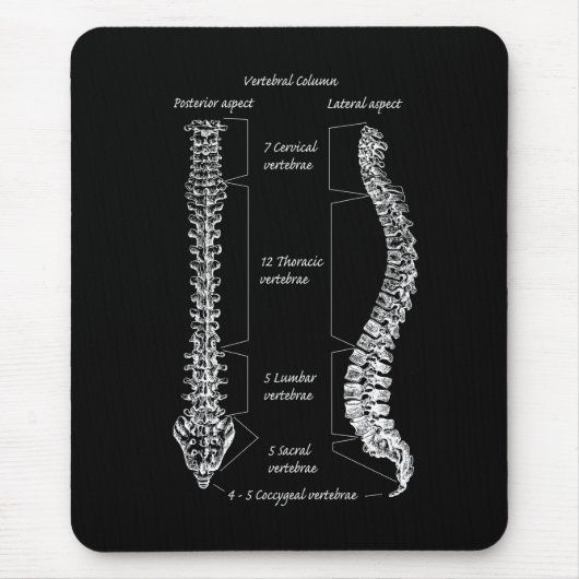 Tapis De Souris Épine (Devant)