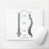 Tapis De Souris Épine humaine (Avec souris)