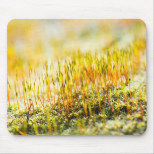 Tapis De Souris Épouses colorées