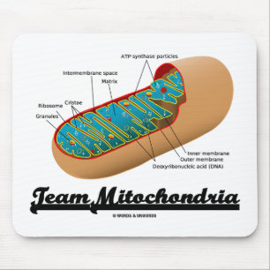 Tapis De Souris Équipe Mitochondria Mitochondrion Humour
