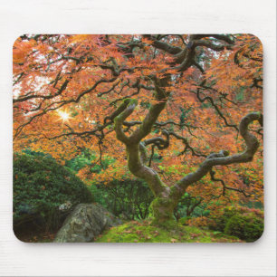 Tapis De Souris Érable aux jardins japonais en automne