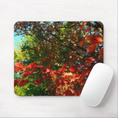 Tapis De Souris Érable japonais en automne (Avec souris)