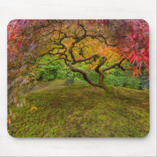 Tapis De Souris Érable japonais en couleur d'automne